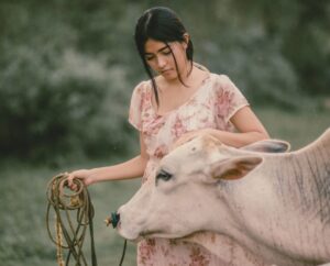 Collagen vs Colostrum