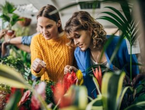 Bovine_uterus_powder