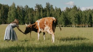 beef_organ_supplement_for_women